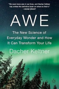 awe book cover